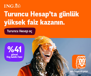 ing 300x250 şubat