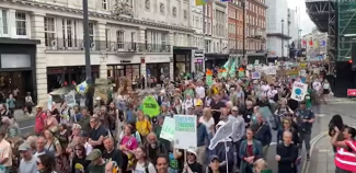 Londra'da binlerce kişi yaban hayatı için yürüdü