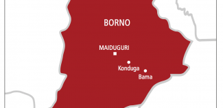 Nijerya'da onlarca kişi canlı bomba saldırısında öldürüldü