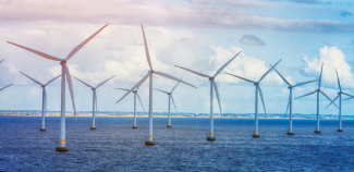 SHURA ve TÜREB'den "deniz üstü rüzgar enerjisi ihaleleri" raporu
