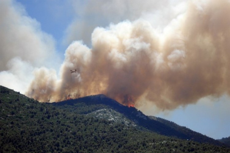 Tarım ve Orman Bakanlığı'ndan orman yangınlarına ilişkin uyarı