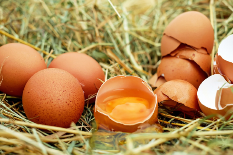 Tavuk yumurtası üretimi Nisan'da yıllık yüzde 3,7 artışla 1,71 milyar adete yükseldi