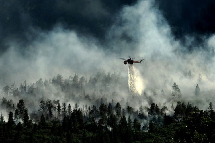 Manisa Soma, Çanakkale Bayramiç ve İzmir Gaziemir'deki yangınlara müdahale sürüyor