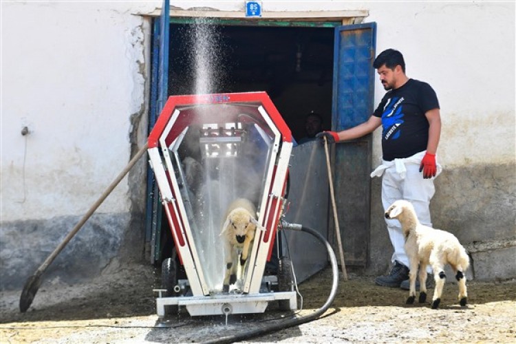 ABB'den hayvan üreticilerine küçükbaş hayvan yıkama makinesi desteği