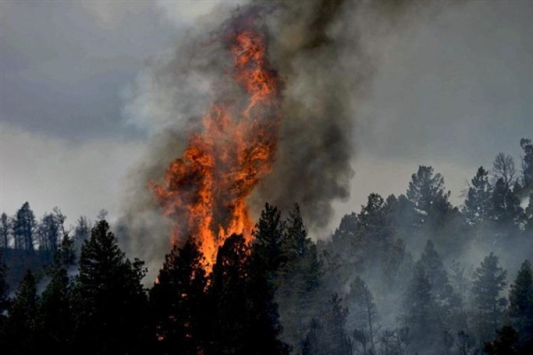 İzmir'in Çeşme ilçesindeki orman yangınında soğutma çalışmaları sürüyor