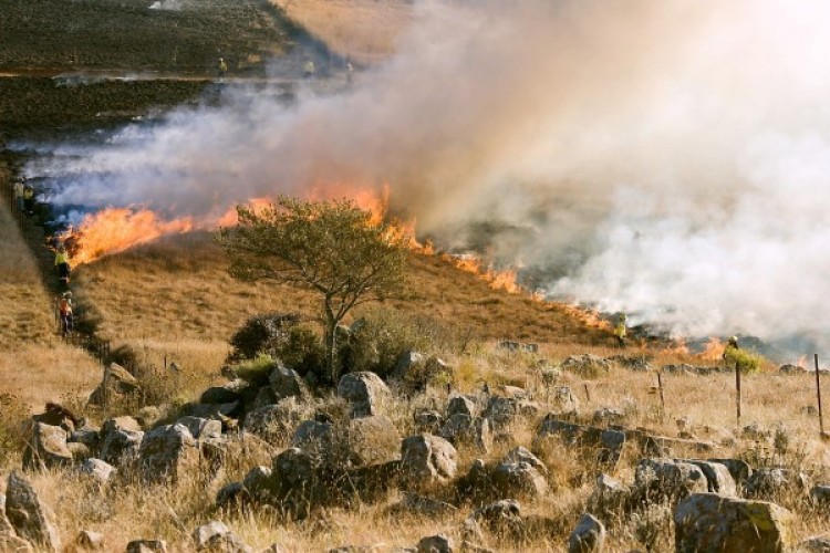 Bakan Yumaklı: Orman yangınlarıyla mücadelemiz sürüyor