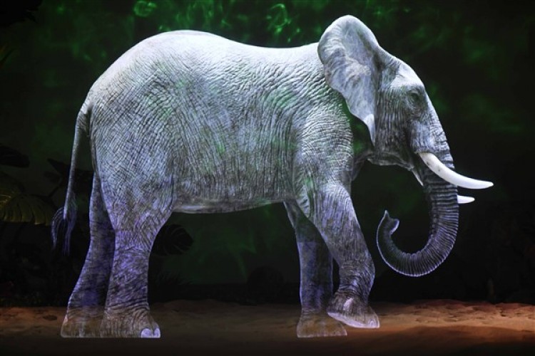 Ankara Dijital Hayvanat Bahçesi bayram tatilinde ziyarete açık olacak
