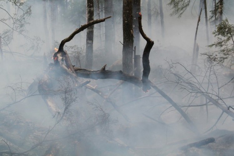 AKUT Çanakkale ekibi Assos orman yangınına müdahale çalışmalarına katıldı