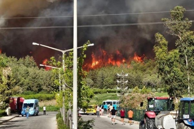 İzmir'in Selçuk ilçesindeki yangın sürüyor