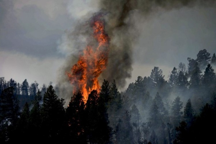 Balıkesir'deki orman yangınına müdahale sürüyor
