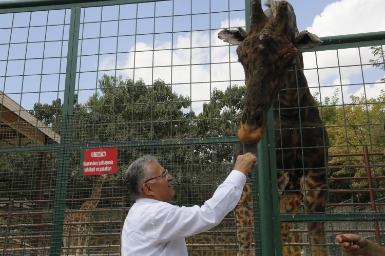 Kayseri'de Hayvanat Bahçesi, Kurban Bayramı'nda ücretsiz olacak