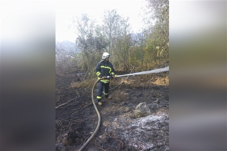 Eskişehir'de itfaiye ekipleri Mihalgazi'de çıkan yangını söndürdü