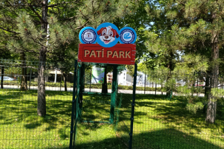 Eskişehir'de evcil hayvanlar için Pati Park yapıldı