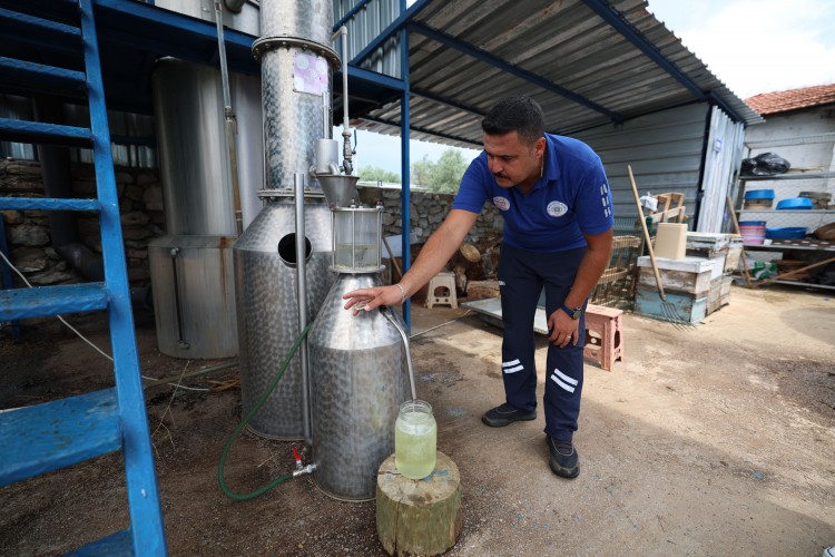Muğla'da 32 tür tıbbi-aromatik bitkinin distilasyonu yapıldı