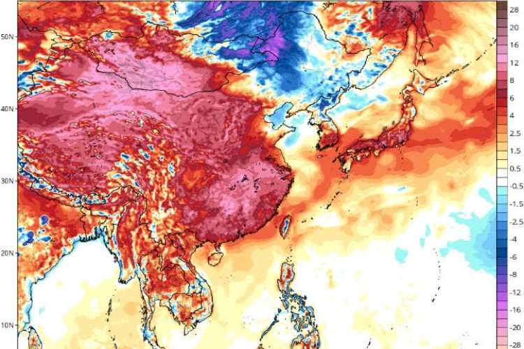 Japon tıp uzmanları: Sıcak çarpması artık büyük bir doğal afet ile eşdeğer sayılır
