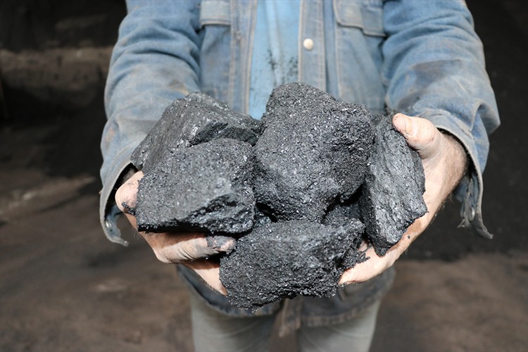 Enerji krizinde taş kömürüne sahip çıkın