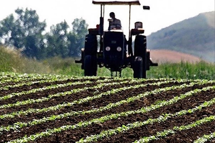 Tarım ÜFE aylık yüzde 2,14, yıllık yüzde 50,79 arttı