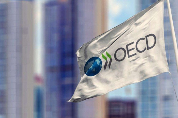 OECD Bölgesi'nde istihdam oranı rekor seviyede