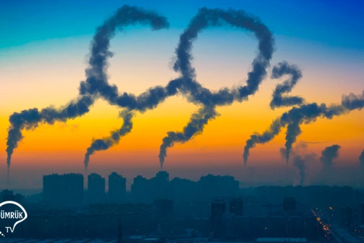 BM'den zengin ülkelere "karbonsuzlaşma adımlarını hızlandırma" çağrısı