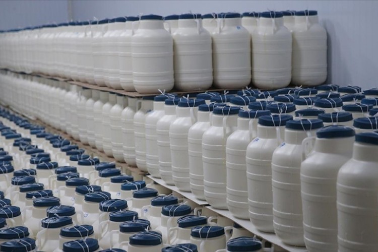 TİGEM, ihaleyle 65 bin 835 ton inek sütü satacak