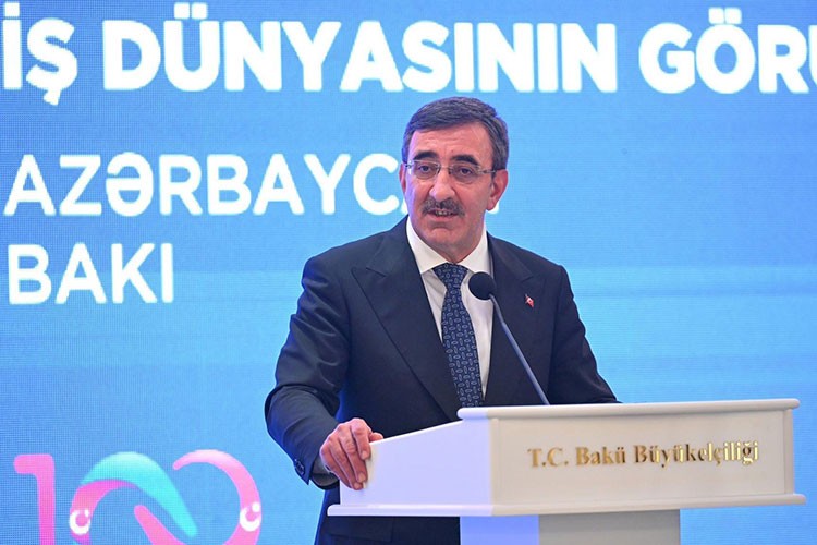 "Türk Yatırım Fonu önemli bir gelişme olmuştur"