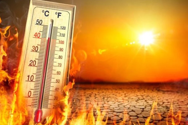Dünyada sıcaklık 4 Temmuz'da yeniden rekor kırdı
