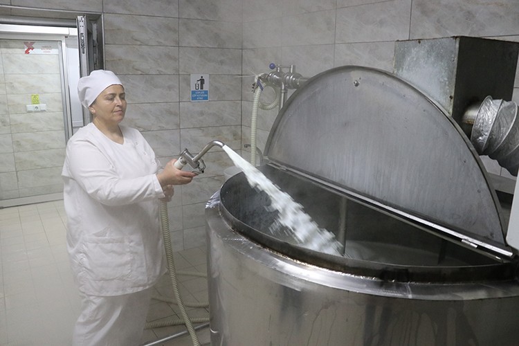 Anadolu mandasının sütü katma değer kazanıyor