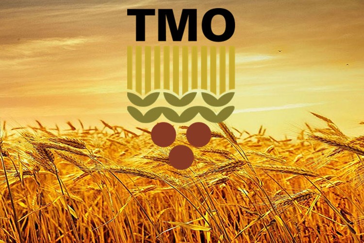 TMO'nun aldığı ürün miktarı rekora ulaştı
