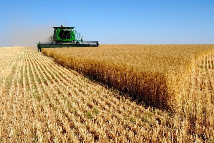 Tarım ÜFE yıllık yüzde 71,52 arttı
