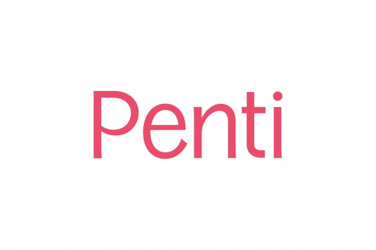Ödüller lider iç giyim markası Penti'ye