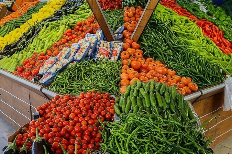 Türkiye Mayıs'ta 284 milyon dolarlık yaş meyve sebze ihraç etti