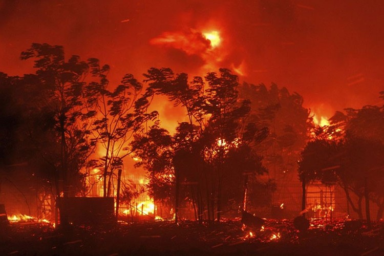 Orman yangınlarıyla üç koldan mücadele
