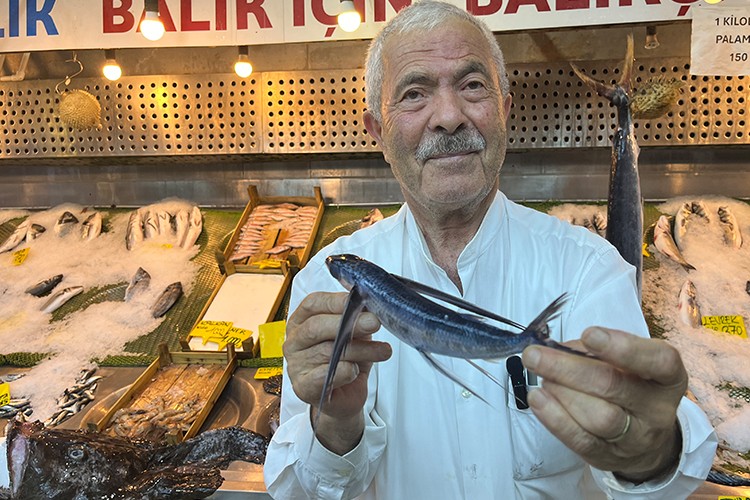 Marmara Denizi açıklarında uçan balık yakalandı