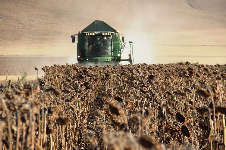 Tarım ÜFE aylık yüzde 1,79 arttı