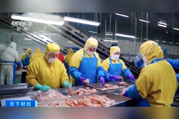 Dünyada yemek malzemelerinin dörtte biri Çin'de üretiliyor