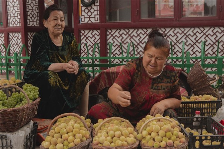 Xinjiang'ın meyve ihracatı yüzde 44,9 arttı