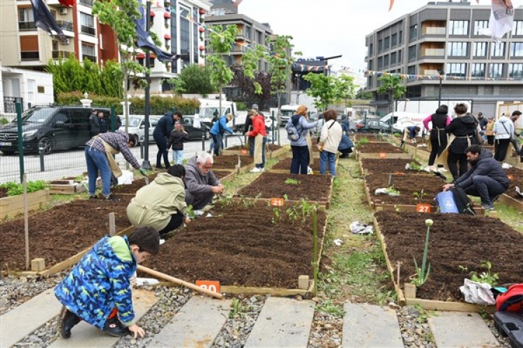 Kadıköy Bostanları'nda yaz dönemi başladı