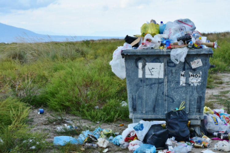 WHO: Plastik kirliliği sadece çevresel bir sorun değil, sağlığı da etkiliyor