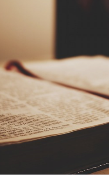 Siyasilerden Necip Fazıl Kısakürek'i anma mesajı