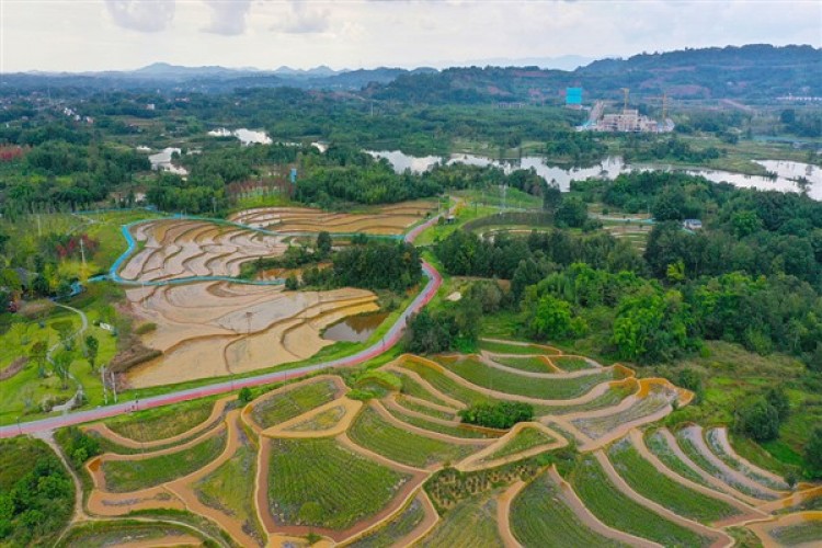 Xi'den ulusal ekolojik güvenlik koruma vurgusu