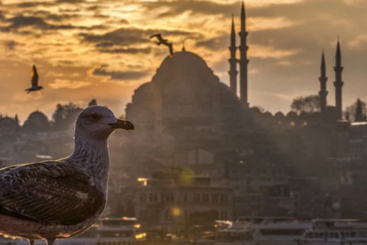 Denizcilik Genel Müdürlüğü, İstanbul'un Fethi'nin 571'inci yılını kutladı