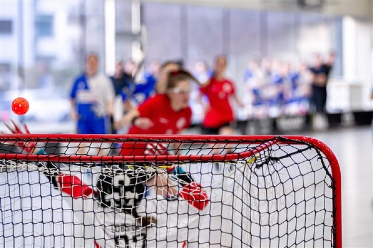 Gaziantep Polisgücü Kadın Hokey Takımı, Avrupa ikincisi oldu