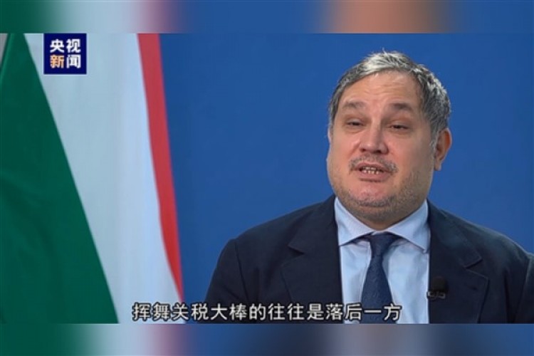 Macaristan: Çin'in yeni enerji sektörlerinin "aşırı kapasitesi teorisi" geçersiz