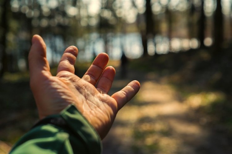 Çevre gönüllüleri ÇEVREFEST'te bir araya geldi