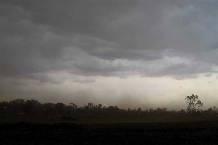 BM: "Azot kirliliği insanlığın karşı karşıya olduğu en acil kirlilik sorunlarından biri"