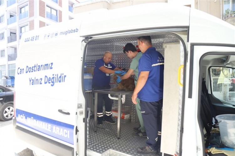 Muğla Büyükşehir'in Acil müdahale aracı hizmet vermeye başladı