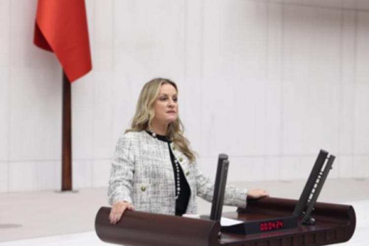 DEVA Partili Ösen'den bir yıllık faaliyet raporu