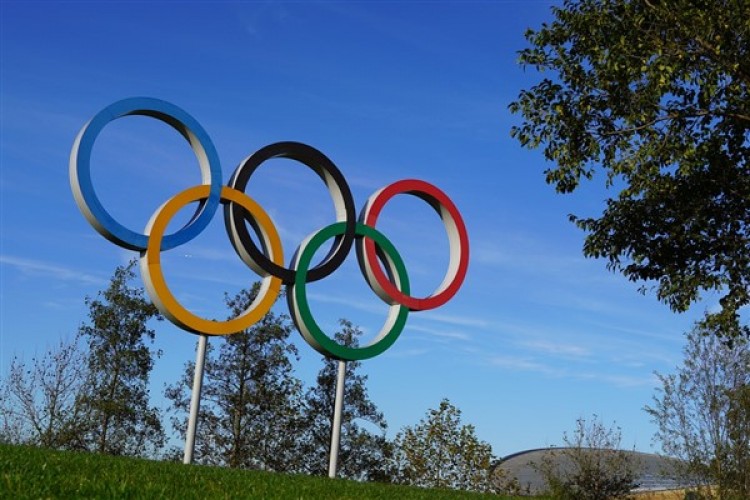 12 branşta 55 sporcu olimpiyat kotası aldı