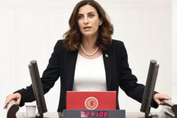 DEVA Partili Rızvanoğlu, Bakan Özhaseki'ye kıyıların işgallerini sordu