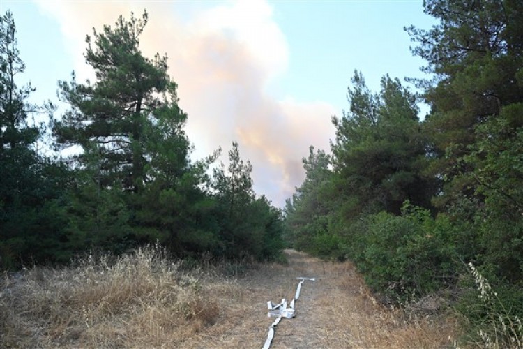 Bursa'da yangın seferberliği sürüyor